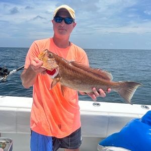 Meet your Posher, Don w.